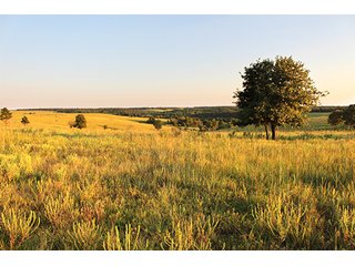 Property photo 9 - LARGE KANSAS AUCTION - 7,672+/- ACRES OFFERED IN 12 TRACTS IN CHAUTAUQUA COUNTY, KANSAS